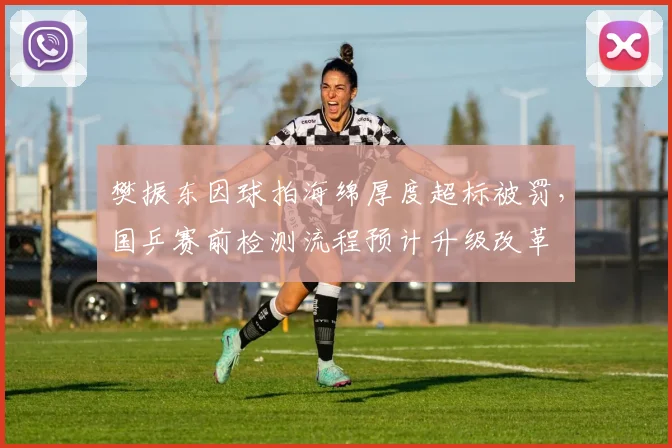 樊振东因球拍海绵厚度超标被罚，国乒赛前检测流程预计升级改革